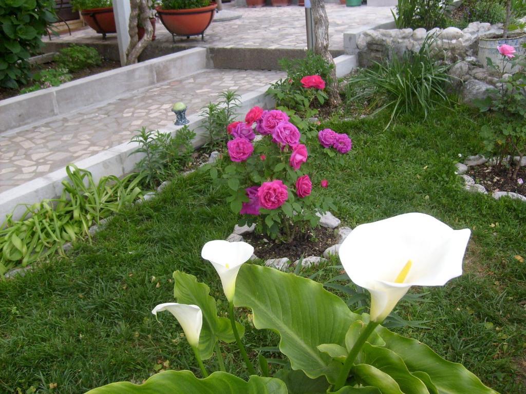 Apartments Bovan Herceg Novi Eksteriør bilde